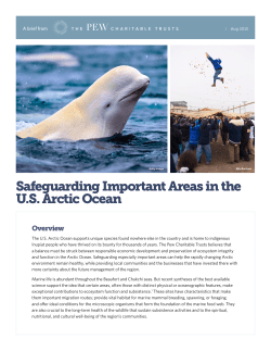 Safeguarding Important Areas in the US Arctic Ocean