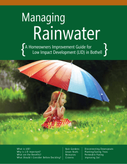 Managing Rainwater in Bothell