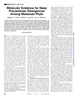 Molecular Evidence for Deep Precambrian Divergences Among