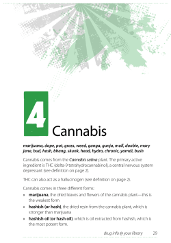Cannabis - a quick guide to drugs and alcohol