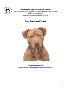 SRAS Dog Adoption Packet