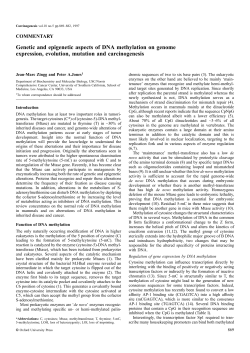 Genetic and epigenetic aspects of DNA