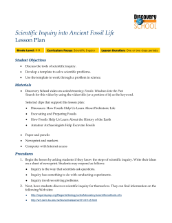 Scientific Inquiry into Ancient Fossil Life