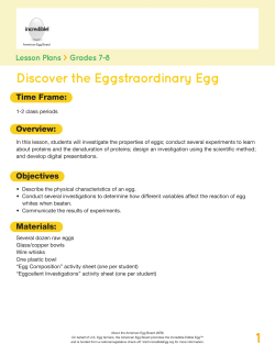 Discover the Eggstraordinary Egg