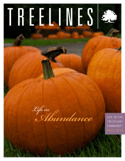 Life in - Trezevant Manor