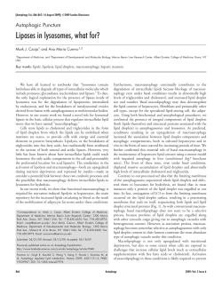 Lipases in lysosomes, what for?