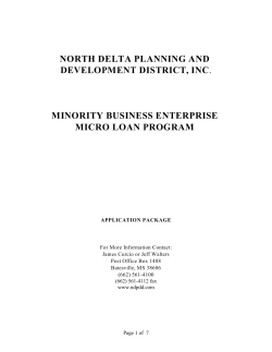 Minority Business Enterprise MICRO Loan Program