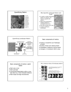 Quantifying Pattern - Forest Landscape Ecology Lab