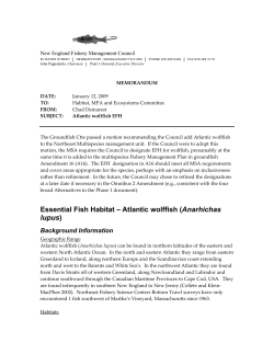 Essential Fish Habitat &ndash; Atlantic wolffish