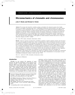 Micromechanics of chromatin and chromosomes