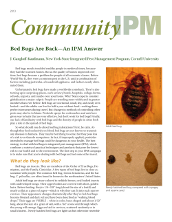 Bed Bugs Are Back&mdash;An IPM Answer