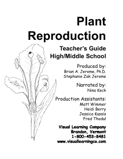Plant Repro Guide