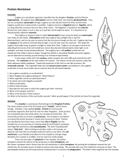 The Euglena - Biology by Napier