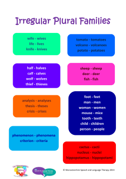 Irregular Plural Families