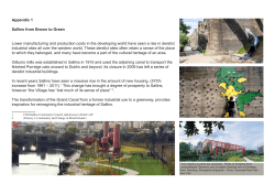 Appendix 1 Sallins from Brown to Green Lower manufacturing and