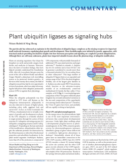 Plant ubiquitin ligases as signaling hubs