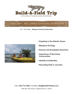 Kayaking in the Atlantic Ocean &bull; Mangrove - Build-A