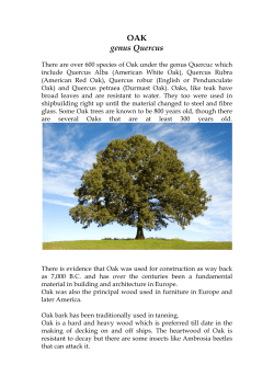 OAK genus Quercus