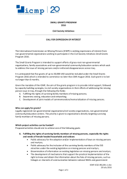SMALL GRANTS PROGRAM 2016 Civil Society Initiatives