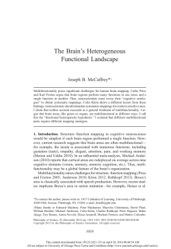 The Brain`s Heterogeneous Functional Landscape
