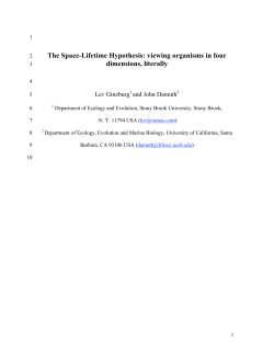 The Space-Lifetime Hypothesis: viewing organisms in four