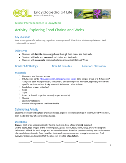 Food Chains and Food Webs - (EOL) + Education