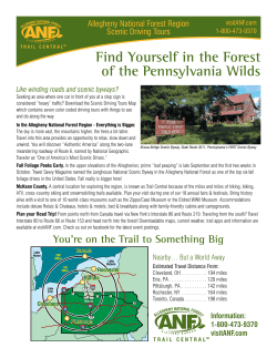 Find Yourself in the Forest of the Pennsylvania Wilds
