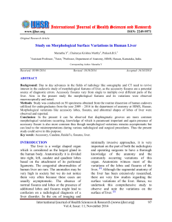 Study on Morphological Surface Variations in Human Liver.