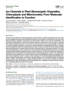 Ion Channels in Plant Bioenergetic Organelles, Chloroplasts