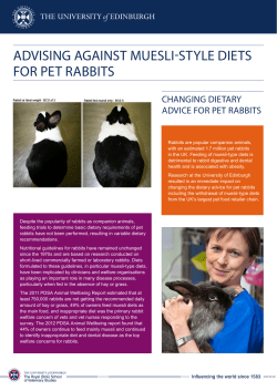 advising against muesli-style diets for pet rabbits