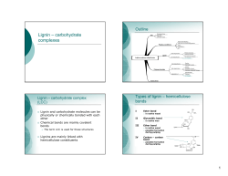 Lignin &ndash; carbohydrate complexes