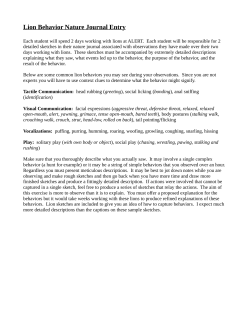 Lion Behavior Nature Journal Entry