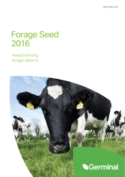Forage Seed 2016