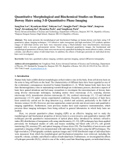 Quantitative Morphological and Biochemical