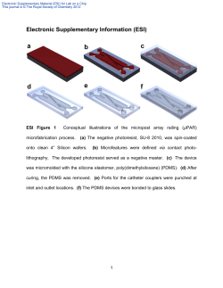 Electronic Supplementary Information (ESI)