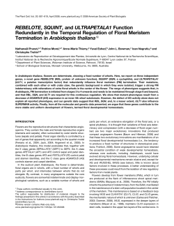 The REBELOTE, SQUINT and ULTRAPETALA1 genes function