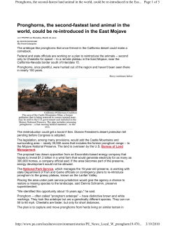 Pronghorns, the second-fastest land animal in the world, could be re