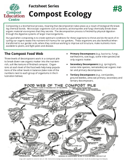Compost Ecology - Compost Education Centre