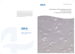 Disinfection of Paramoebae perurans with UV and ozone In situ
