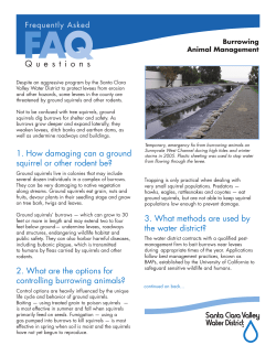 FAQ_Burrowing Animal Mgmt_FINAL_12_29_08.indd