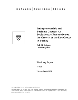Entrepreneurship and Business Groups