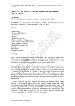 Growth and Production of Maize: Mechanized Cultivation