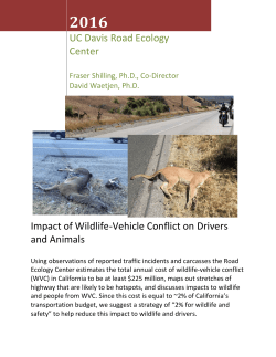 Impact of Wildlife-Vehicle Conflict on Drivers and Animals