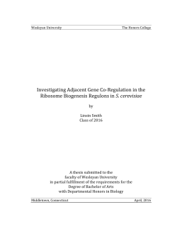 Investigating Adjacent Gene Co-Regulation in the
