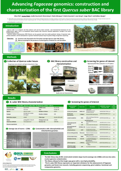 Poster Plant GEM Istanbul 2011_joana [Compatibility Mode]