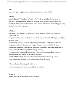 Ancient European dog genomes reveal continuity since the