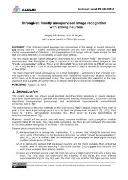 StrongNet: mostly unsupervised image recognition with