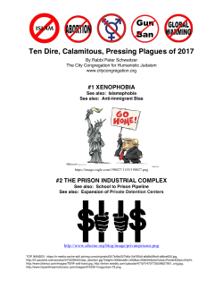 Passover Plagues 2017 Schweitzer