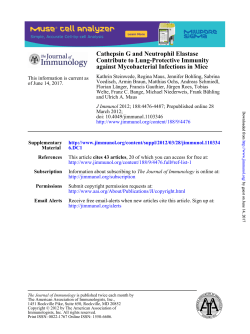 against Mycobacterial Infections in Mice Contribute to Lung