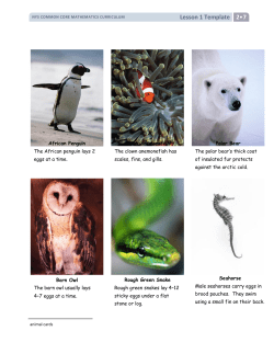 Lesson 1 Template 2 7